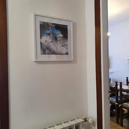 Apartment Blue Daisy *